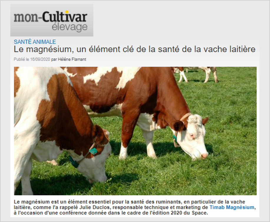 Article Cultivar